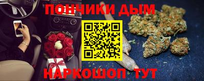 стаф Сланцы