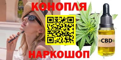стаф Сланцы