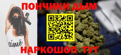 стаф Сланцы