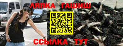 стаф Сланцы