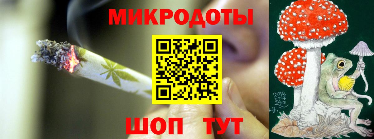 Новозыбков  Галлюциногенные грибы мухоморы  Вход с VPN 