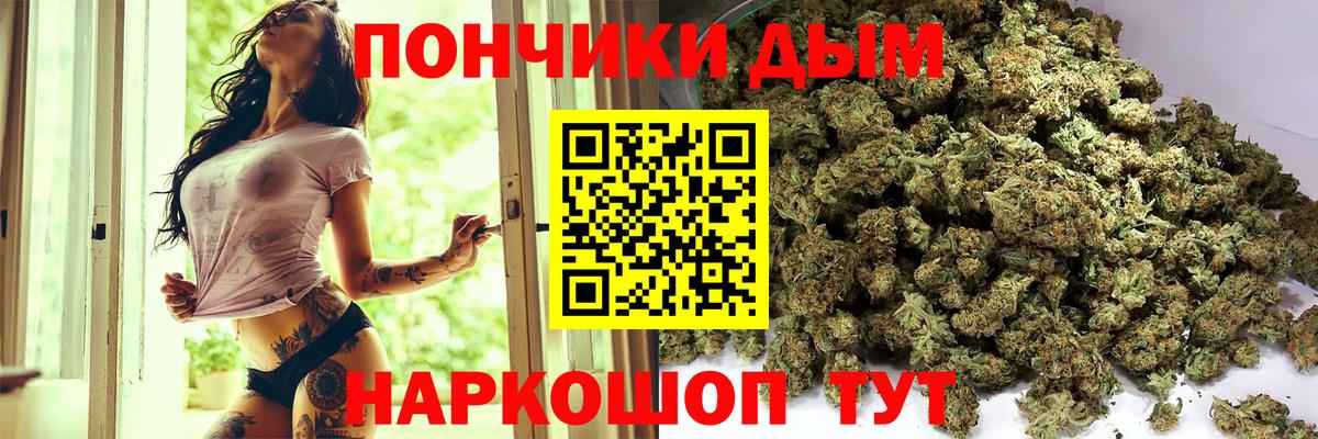 Бошки марихуана конопля  Каннабис AK-47  Вход с VPN  Бошки Шишки ГИДРОПОН  Новозыбков 